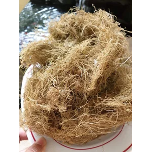 Alkali Treated Glacilaria