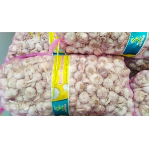 Best Wang Garlic (Honan & Kating)