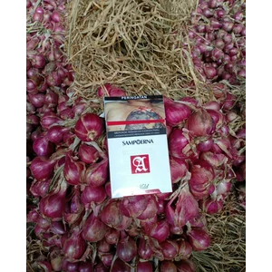 Bawang Merah Brebes Super