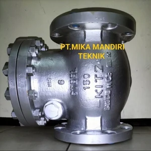 Swing Check Valve Kitz / Check Valve
