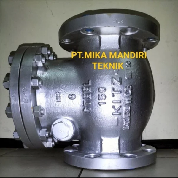 Swing Check Valve Kitz / Check Valve