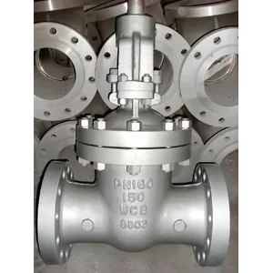 Check Valve A216 WCB KITZ