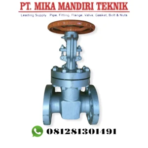 GATE VALVE KITZ WCB ANSI 300