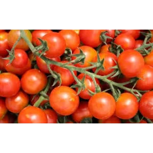 Cherry Tomatoes