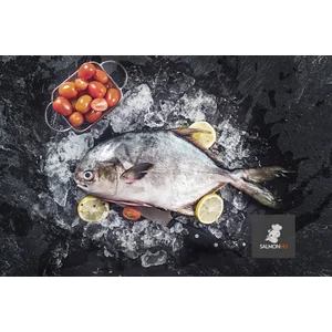 Ikan Bawal Jepang Fresh