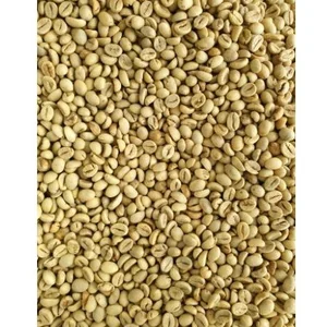 Biji Kopi Robusta asal NTT