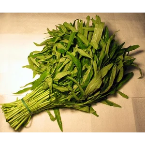 Kangkung Bebas Pestisida 250Gr