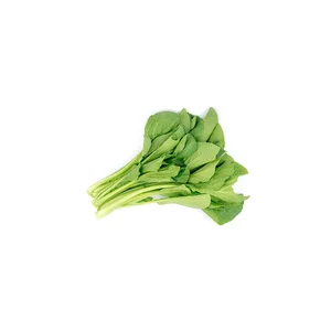 Caisim / Sawi Hijau Bebas Pestisida 250 Gr