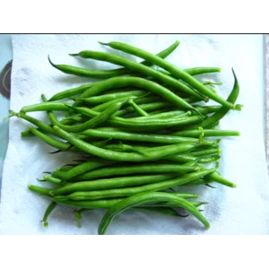 Green Bean Free Pesticides 250Gr
