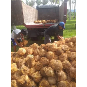 Kelapa Dan Turunannya