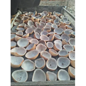 Kelapa Dan Turunannya
