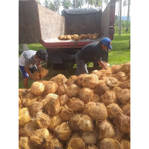 Kelapa Dan Turunannya