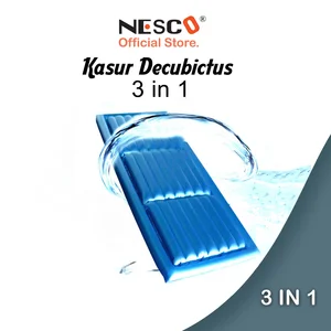 3 In 1 Water Mattress