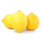 Buah Segar Lemon California 1