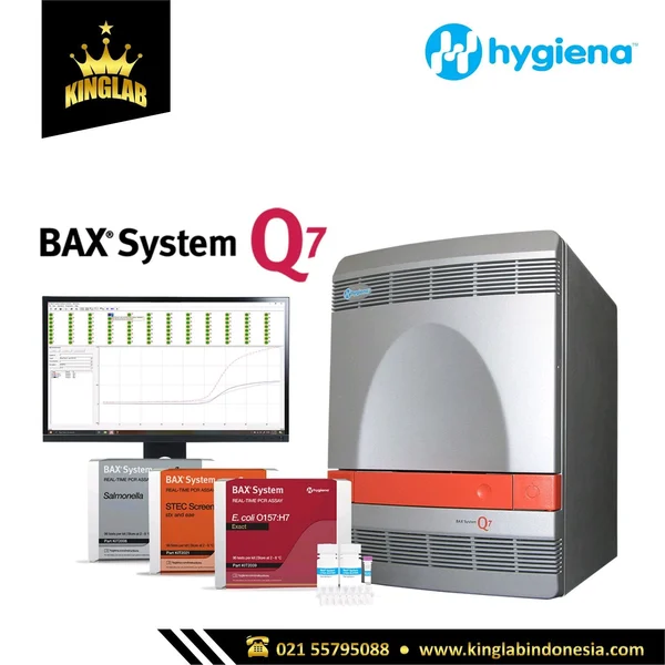 Pcr Microbiologi Bax System Q7