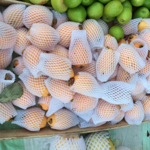 Foam Busa Plastik Jaring Buah