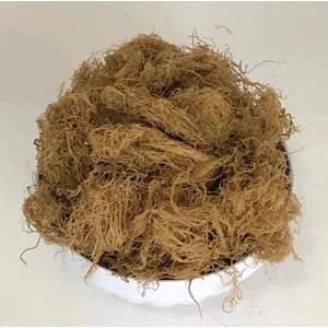 Rumput Laut Kering Alkali Treated Gracilaria (ATG)