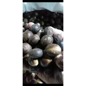 Biji Pala A Cangkang Manado