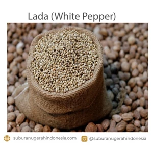 Lada Putih (White Pepper) or Pepper