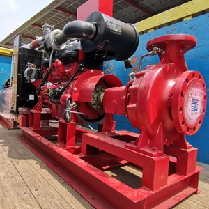 Ebara Diesel Pump