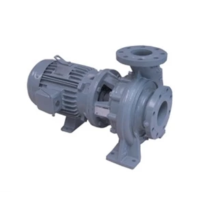 Pompa Industri EBARA FSDA Mono block End Suction Volute Pump