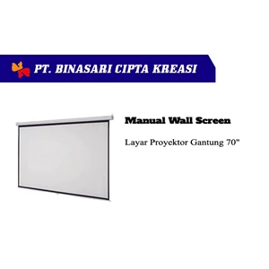 Manual Wall Screen