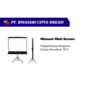 Projector Screen Manual Wall Screen