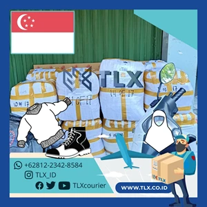 Kirim Paket ke Singapore By PT Dokumen Paket Ekspres