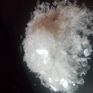 Cacahan Pet Bening Super