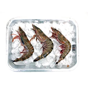 Udang Segar Black Tiger 1 Kg