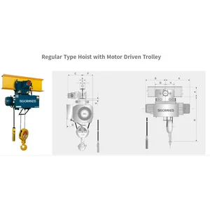Regular Type Hoist With Motor Driven Trolley