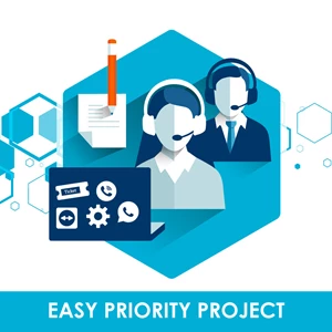 Priority Support Project - Easy Accounting System