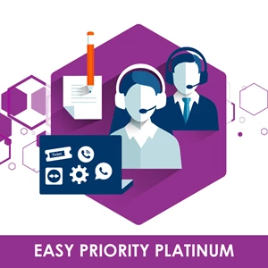 Priority Support Platinum -Easy Accounting System