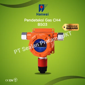 Hanwei Bs03 - Ch4 Fixed Detektor Gas Explosion Proof