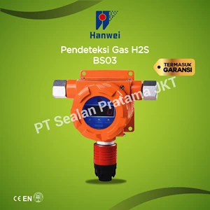 Hanwei Bs03 - H2s Fixed Detektor Gas Explosion Proof