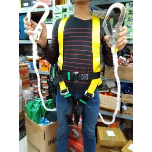 Body Harness Gt Life Double Hook