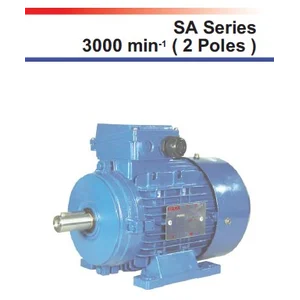 Motor Listrik Yuema SA Series