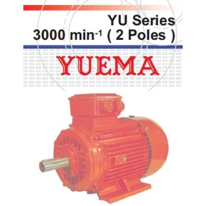 Electric Motor 3 Phase Yuema YU Series