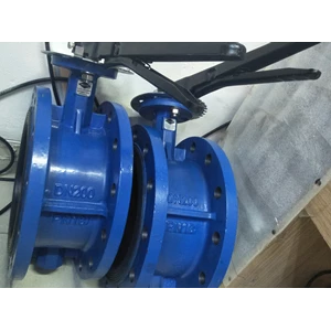 Butterfly Valve Double Flange 8