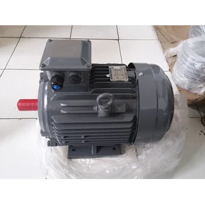 Motor Listrik TECO 3 Phase - Induction