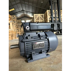 Electric Motor Single Phase Induction