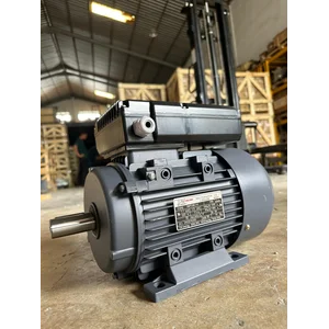 Electric Motor Single Phase Induction