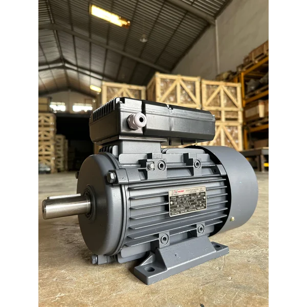 Electric Motor Single Phase Induction