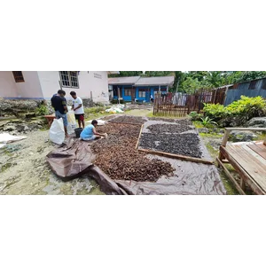 Kopra Asalan Dari Kabupaten Biak