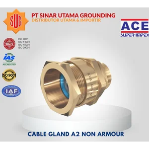 Kabel Gland A2 100L Non Armour ACE Super Impex