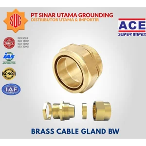 Brass Cabel Gland BW 32S ACE Super Impex