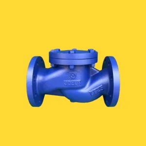 Lift Check Valve Tusen Klep