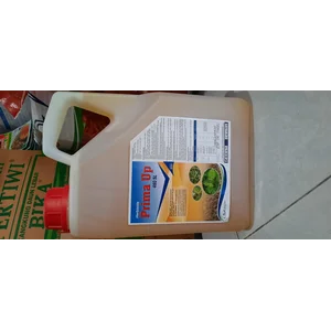 Herbisida PRIMA UP 480 SL