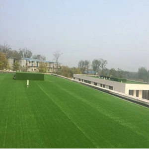 25Mm Synthetic Grass Size 2M X 25M