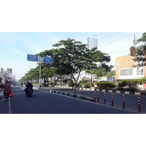 Stick Cone Base Pembatas Jalan